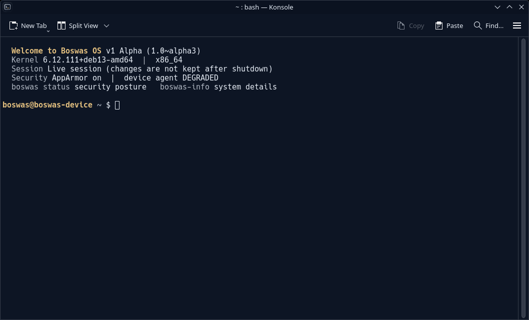Konsole terminal on Boswas OS showing the welcome banner with release 1.0~alpha3, kernel version, Live session notice and security status including AppArmor